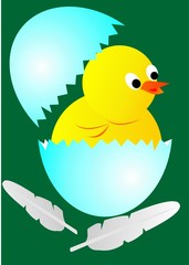 Chicken at egg, vector illustration