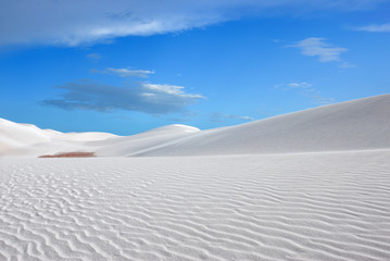 White dune