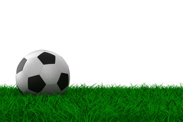 soccer ball on grass. Isolated 3D image