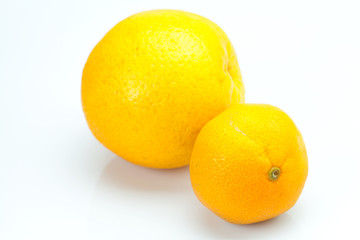 orange and Mandarin isolated on white
