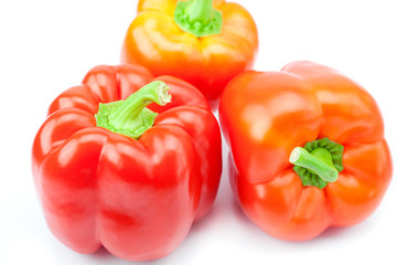 red pepper isolated on white