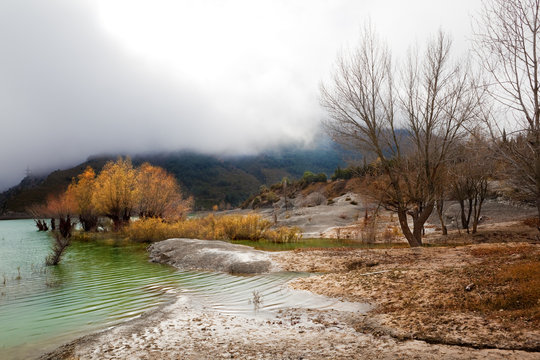 paisaje de oto&ntilde;o con pantano y arboles