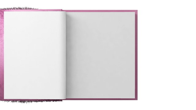 Flipping Girl diary with furry cover and heart shape