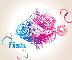 The colorful fish with bubbles on a beige background