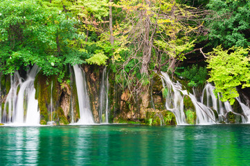 Waterfalls in national park and turquoise lake. Plitvice - 27875169