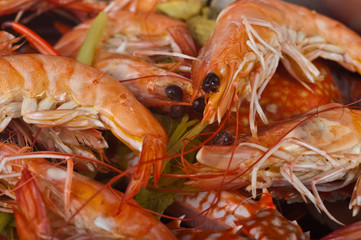 shrimp background