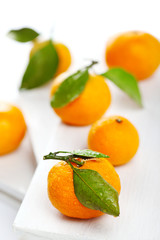 Ripe tangerines on white background
