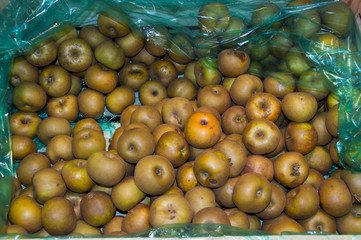 pommes sur l'étalage d'un supermarché (fruits et légumes frais)