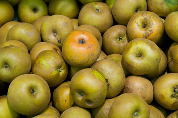 pommes sur l'étalage d'un supermarché (fruits et légumes frais)