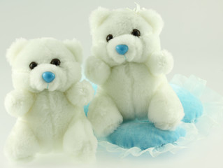 ourson et oursonne, peluches blanches