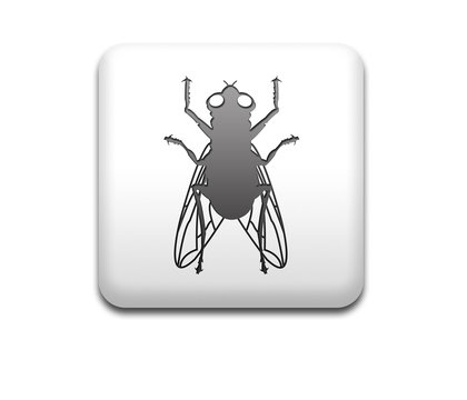 Boton cuadrado blanco mosca
