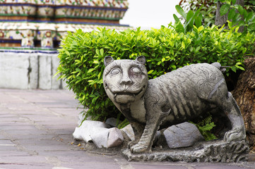 tiger stone statue in wat po,bangkok,thailand