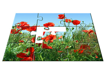 jigsaw puzzle Poppies: one part apart