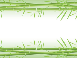 Fototapeta na wymiar Vector bamboo background