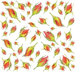 Background. Rose bud.