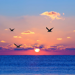 Red rising sun
