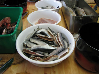 Fischküche