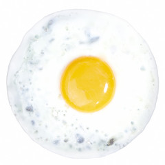 Fried Egg isolated on white background