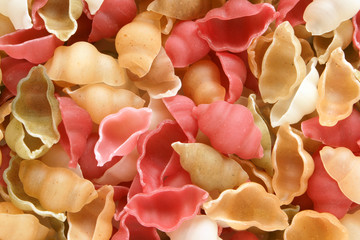 Close-up of italian pasta - colored seashells