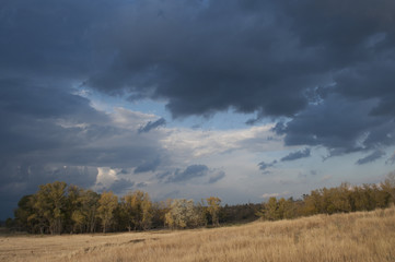 Before a rain