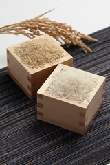 玄米と精白したジャポニカ米