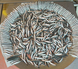 Fresh fish at a market