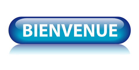 Bouton Web "BIENVENUE" (page d’accueil message site internet ok) © Web Buttons Inc