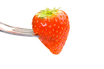 Fragola su sfondo bianco