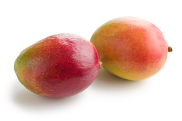 fresh mango fruit