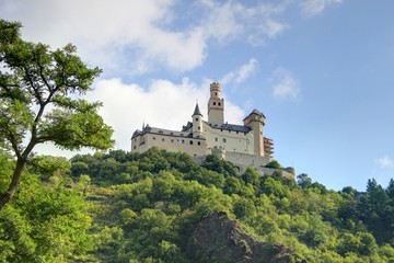 Fototapeta na wymiar Zamek w dolinie Renu