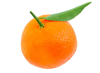 Tangerine with a green leaflet