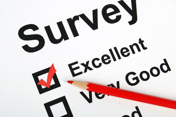 Fototapeta premium Survey