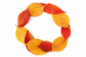 落ち葉のリース