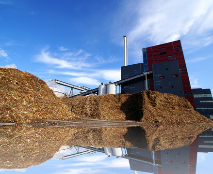 Bio Power Plant With Storage Of Wooden Fuel