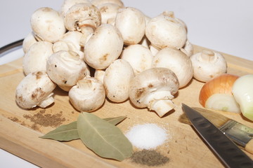 pilze