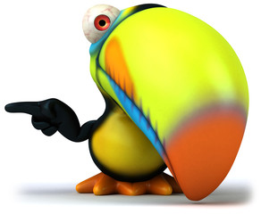 Toucan