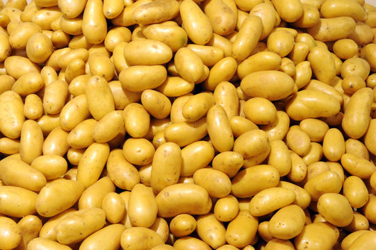 pommes de terre