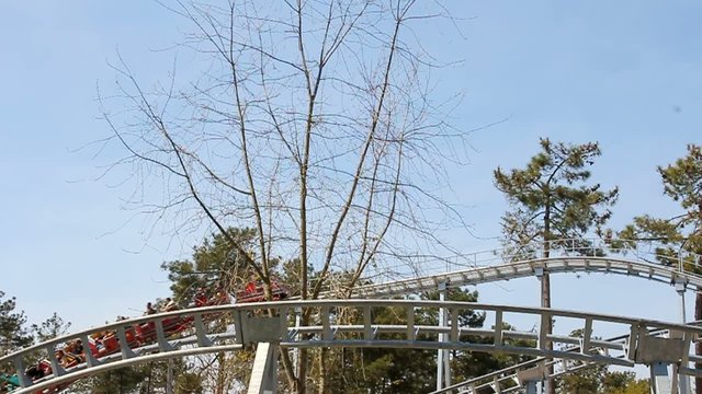 roller coster