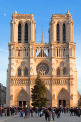 Fototapeta na wymiar Boże Narodzenie w katedrze Notre-Dame