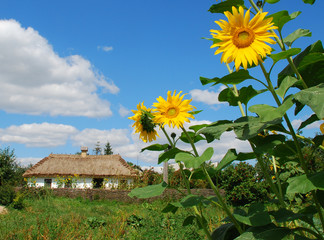 Музей певца Ивана Козловского в с.Марьяновка под Киевом © golicin