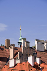 Chimneys and Roofs