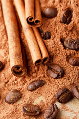 Cinnamon Sticks with Cocoa