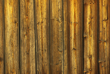 Fototapeta premium wood texture