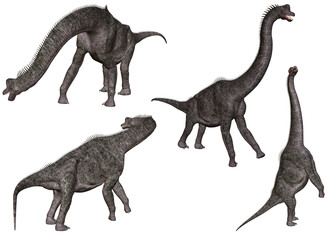Brachiosaurus
