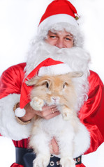 Photo of happy Santa Claus holding a cute rabbit in a santa hat.