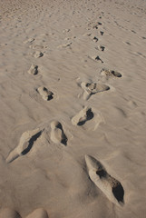 crisscross footprints on sand