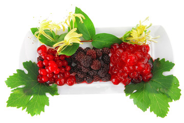 sweet wild served berry's