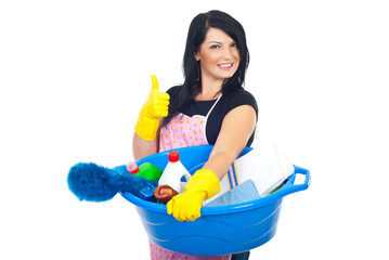 Successful cleaning woman