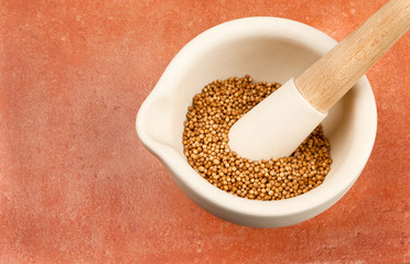 Pestle and Mortar with Mustard Seeds