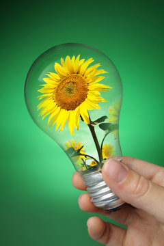 ampoule &eacute;nergie verte